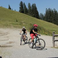 Bei der Krinnenalpe