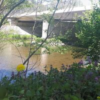 Zschopauufer Am Steghaus