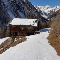 Unterarnalm
