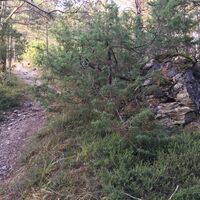 Weg Schatzrunde Sautens