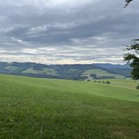 Schön ists im Wiesenwienerwald!