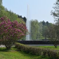 Seekurpark im Sommer