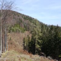 Abstieg zum Zeitlhof Sattel