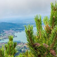 Blick vom Wallberggipfel