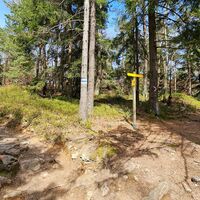 Rechts in die Mandelstein-Umrundung