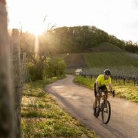Hügelabwärts mit dem Gravelbike