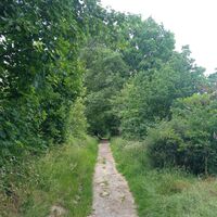 am Karl-Bachler-Wanderweg unterwegs