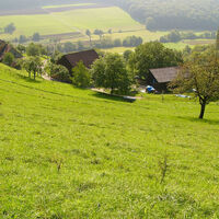 Küßnach Küssaburg Alkenhof