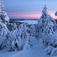 Landschaft von Vuokatti im Dezember, Vuokatti Finland