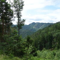 am Aufstiegssteig
