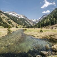 Der Riesachbach in der Nähe der Kaltenbachalm