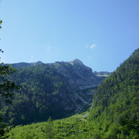 Nochmal der Blick hinauf