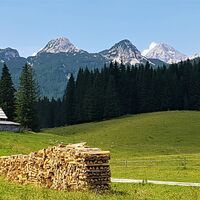 Planina Zajavornik