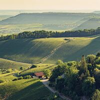 Aussicht von der Burgruine Löwenstein | Blick über den Naturpark Schwäbisch-Fränkischer Wald | HeilbronnerLand