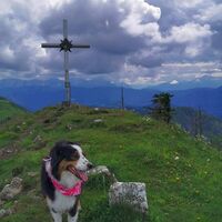 Almkogel