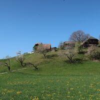Bauernhäuser nach Eichmatt - Bern nach Plaffeien
