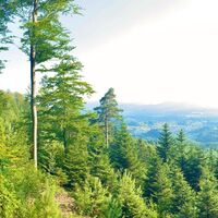 Blick ins Murgtal