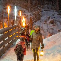 Mit den Tauernlamas unterwegs am Adventweg