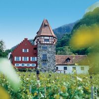 Rotes Haus in Vaduz