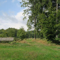 Oberhalb von Bergalingen