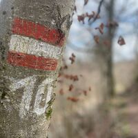Auen-Trail - Steyr Unterhimmler Au