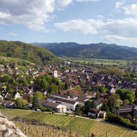 Aussicht auf Stadt und Burg Staufen