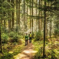 Durch den schönen Schwarzwald