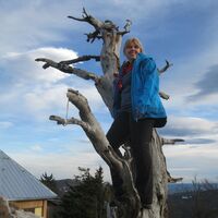 Dürre Wand, Plattenstein u. Gauermannhütte