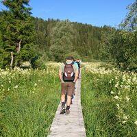 Wandern