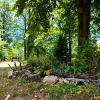 Kleiner Kräutergarten - Meiningen