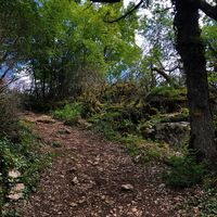 Weg oberhalb von Champdossin - Valromey-Sur-Séran