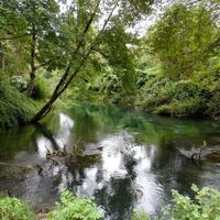 Aulandschaft bei Steyregg