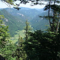 am Steig hoch zur Jagdhütte Karlalm