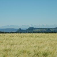 Blick oberhalb Engen zur Alpenkette