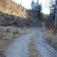 im Saugraben