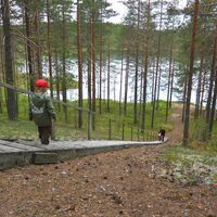 Treppen von Raesärkkien zum See