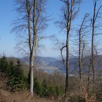 am Weg zur Buschandlwand