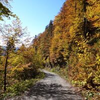 Herbstliche Farbenpracht