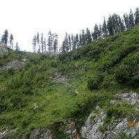 Abstiegssteig Blarergraben