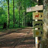 Wald von Rothonne in Belley