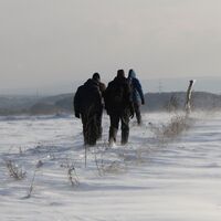 Wegsuche im Schnee
