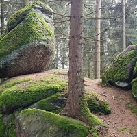 Wackelstein links des Weges