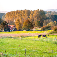 Borgholzhausen - malerische Landschaft