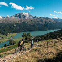 Himmlische Aussicht auf dem Trail hinunter nach Silvaplana