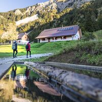 Žirovniška planina Alm