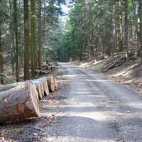 am Rückweg