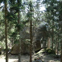 Burgsteinberggipfel
