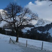 Oberi Walehütte - Schwefelbergbad Trail