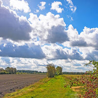 Naturnaher Abschnitt des NORDPFADES Huvenhoopsmoor bei Glinstedt
