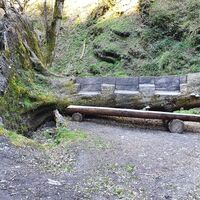 Wurzelbank im Baybachtal